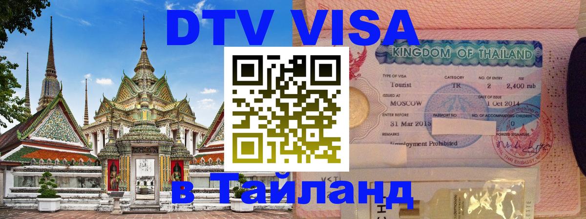 Сколько стоит DTV виза — актуальные цены, оформление даже без документов - 08.01.2026 